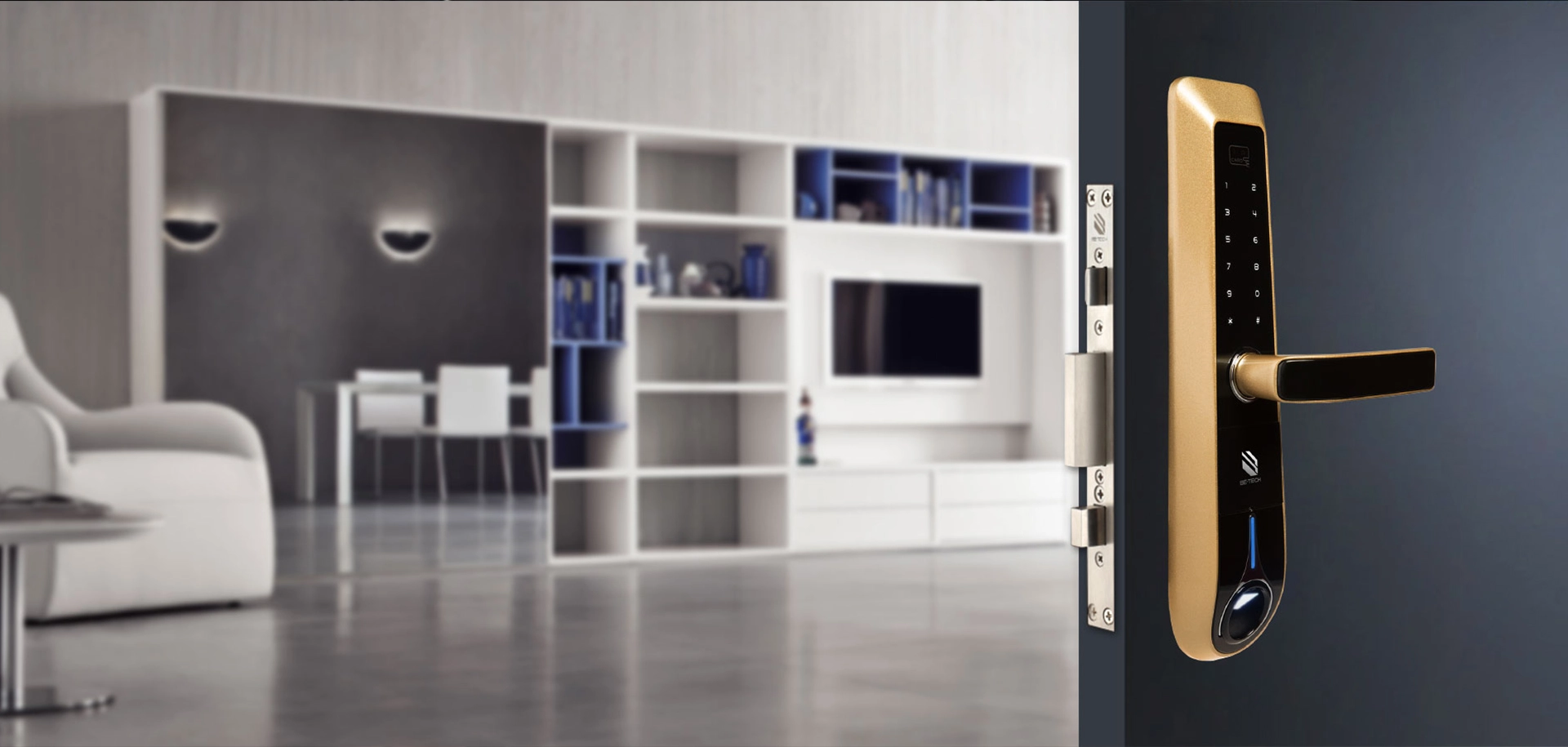 Burglary and Intrusion