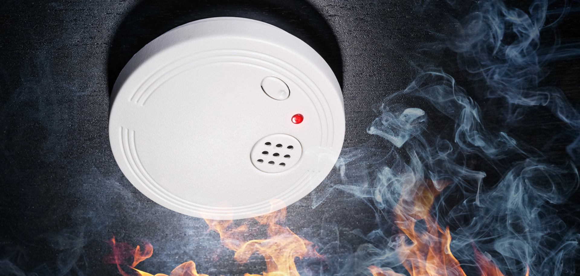 Fire Alarm & Voice Evacuation